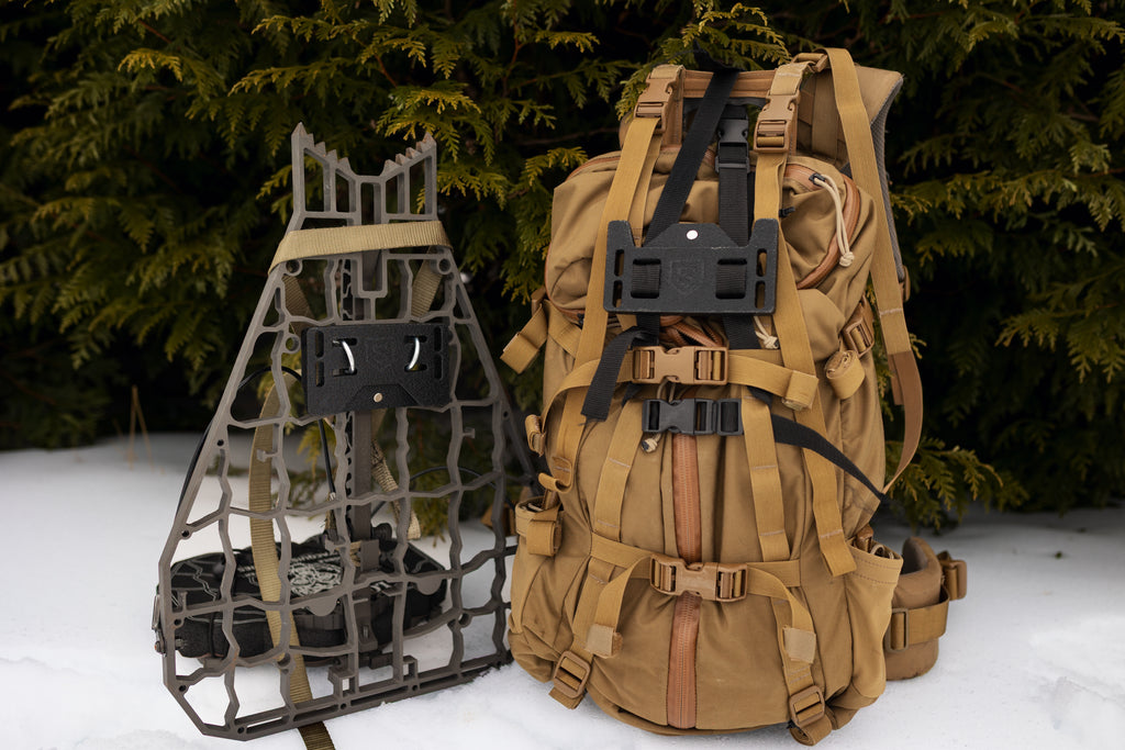 Sentinel System