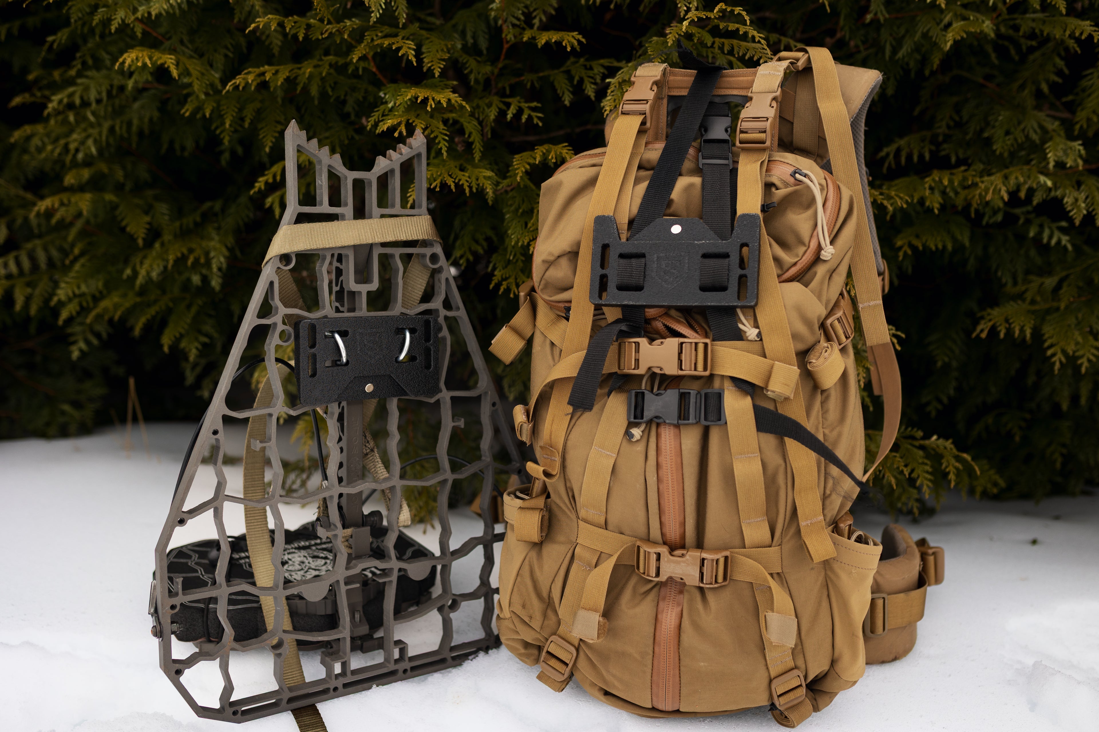 Sentinel System